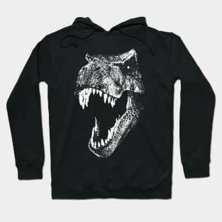 I'm a Dino Fan... Hoodie